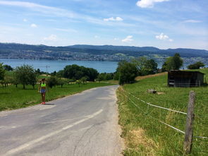 米兰体育网址-“缆绳滑水：东桃花岛赛场呈现全新水上运动魅力”  第1张